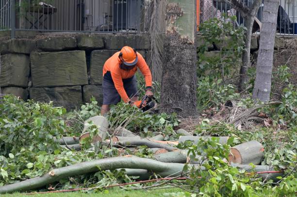 Best Arborist Consultation Services  in Oakland, TN